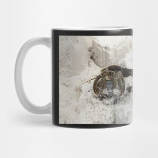 Hermit Crab in Sand Mug